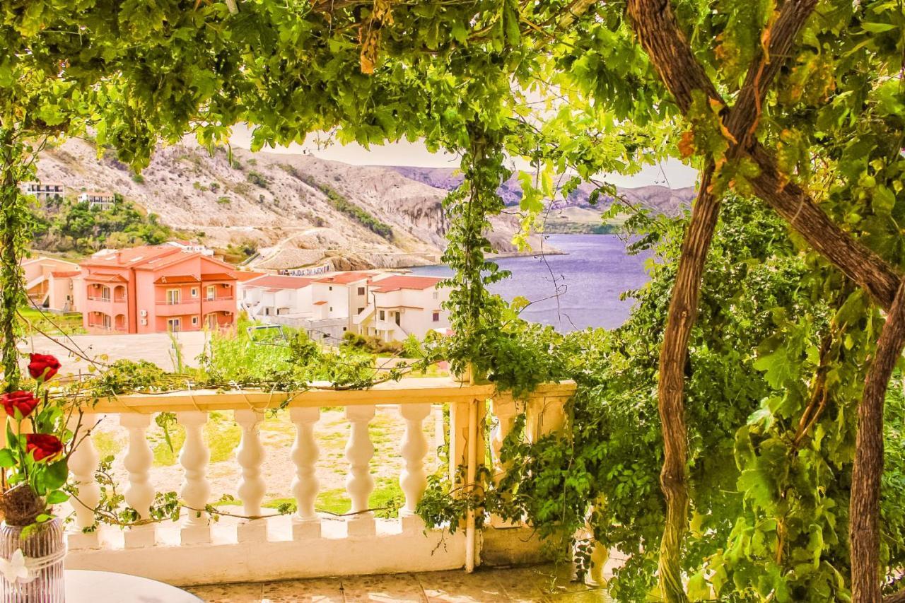 Apartment Coral ميتغنا المظهر الخارجي الصورة